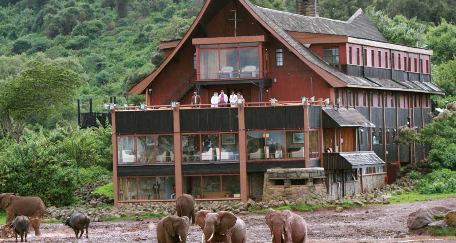 Aberdare National Park